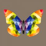 Butterfly Polygon Style Stock Photo Stock Photo