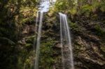 Twin Falls Waterfall Located In Springbrook National Park Stock Photo