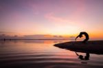 Yoga Stock Photo