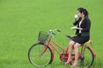 Girl Drinking Tea In Field Stock Photo