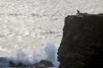 Lonely Man On Cliff Stock Photo