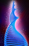 Dna Structure Stock Photo