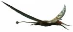 Rhamphorhynchus Stock Photo