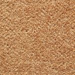 Brown Carpet Texture Stock Photo