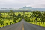 Lane Blacktop In The Forest Stock Photo