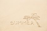 Inscription Of The Word Summer And Palm Tree Drawing On Wet Yell Stock Photo