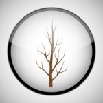 Tree In Circle Frame. Icon Concept Stock Photo