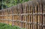 Bamboo Japanese Fence Stock Photo