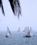 Sailing Race On Ocean Stock Photo