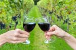 Two Hands Toasting With Wine Glasses In Vineyard Stock Photo