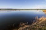 Spring Countryside Lake Landscape Stock Photo