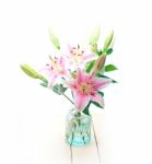 Pink Lily Flower Bouquet Stock Photo