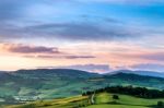 Val D'orcia, Tuscany/italy - May 21 : Farmland In Val D'orcia Tu Stock Photo