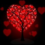 Hearts Tree Means Valentine's Day And Forest Stock Photo