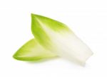 Chicory Isolated On A White Background Stock Photo