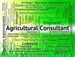 Agricultural Consultant Represents Employee Job And Cultivation Stock Photo