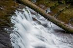 Liffey Falls In The Midlands Region, Tasmania Stock Photo