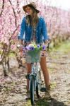 Beautiful Young Woman With A Vintage Bike In The Field Stock Photo