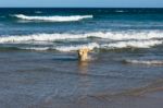 Sunshine Beach At Noosa, Sunshine Coast Stock Photo