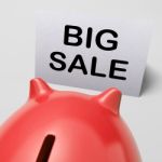 Big Sale Piggy Bank Shows Price Slashed Stock Photo