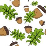 Acorn Seamless Pattern By Hand Drawing On White Backgrounds Stock Photo