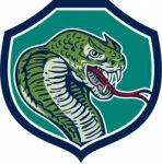 Cobra Viper Snake Shield Retro Stock Photo