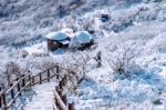 Deogyusan Mountains Is Covered By Snow In Winter,south Korea Stock Photo