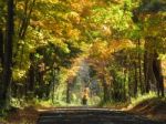 Autumn Bucks County Country Road Stock Photo