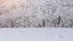 Deogyusan Mountains Is Covered By Snow In Winter,south Korea Stock Photo