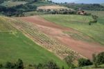 Val D'orcia, Tuscany/italy - May 17 : Countryside Of Val D'orcia Stock Photo