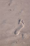 Man Foot Print On A White Sand Stock Photo