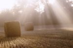 Straw Bale Stock Photo