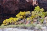 Zion National Park Utah Autumn Landscape Virgin Stock Photo