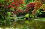 Romance. A Fragment Of The Gardens Of Villa Melzi , Italy Stock Photo