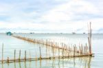 Landscape Fishing Cottage In Sea  Stock Photo