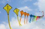 Kites Stock Photo