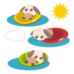 Cartoon Dog In The Pool Illustration Stock Photo