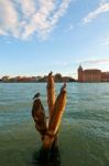 Venice Italy Lagune View With Bricole Stock Photo