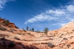 Zion Cloudscape Stock Photo