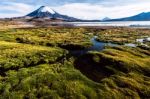 Snow Capped Parinacota Volcano Reflected In Lake Chungara, Chile Stock Photo