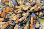 Fresh Mussels Stock Photo