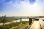 Tea Field At Chiangrai Thailand Stock Photo