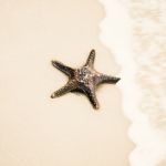 Starfish On The Beach Sand. Close Up Stock Photo