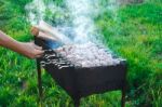 Shish Kebab Is Fried On Coals Stock Photo