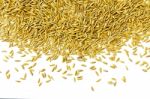 Top View Of Paddy Rice And Rice Seed On The White Background For Isolated Stock Photo