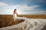 Bride In Wheat 3 Stock Photo