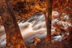 Newell Creek In Tasmania Stock Photo