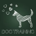 Dog Training Indicates Pets Puppy And Pups Stock Photo