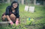 Asian Woman Planting In Home Garden Stock Photo