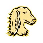 Saluki Or Persian Greyhound Mascot Stock Photo